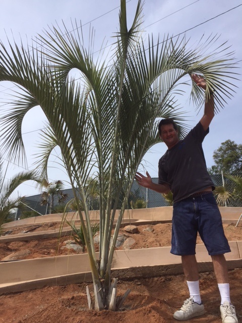 IMG_4640.JPG.ffb0704e5437b9fc8b2fd121967