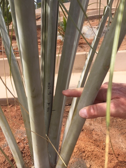 IMG_4641.JPG.96541ed08fc6bdcd04cf2e8f718