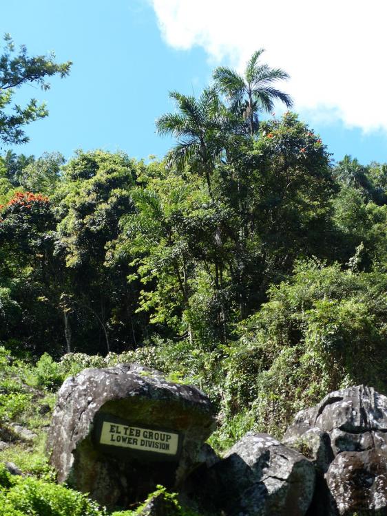 P1270272.thumb.JPG.b86ceadc0cce814d8cd1f