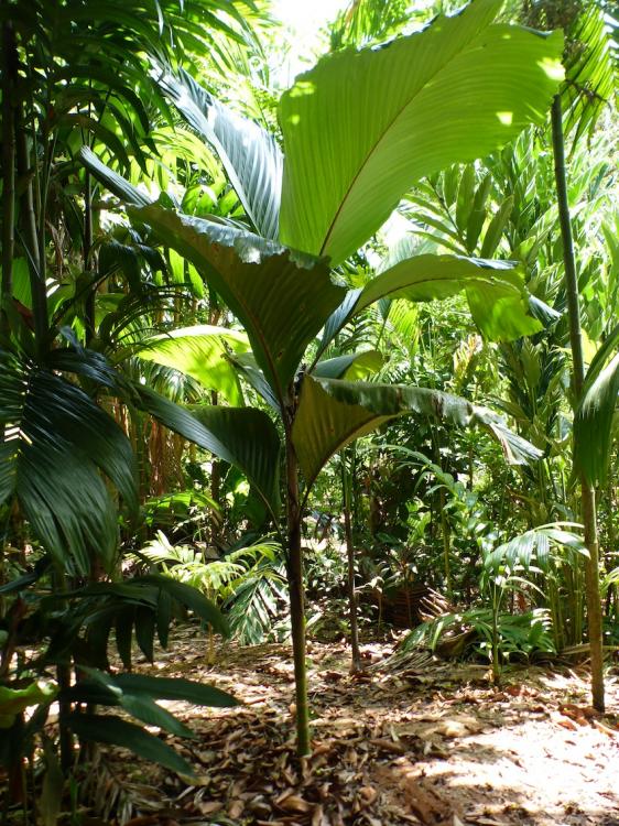 P1270811.thumb.JPG.d3662cb2e02c97b51d1df