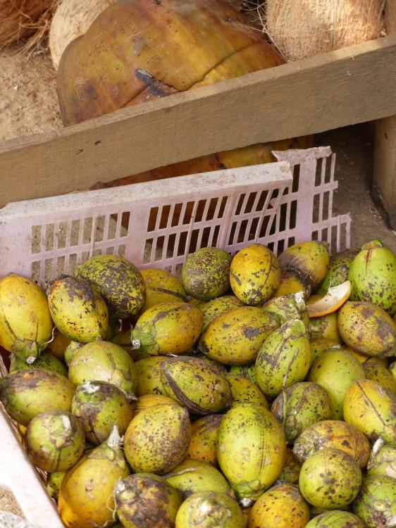 P1270870.thumb.JPG.5b65ece019fb4a52a0672