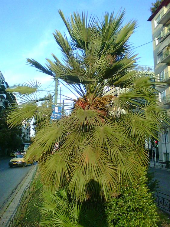 Photo0342.thumb.jpg.6dfd6309c3d3e0c49089