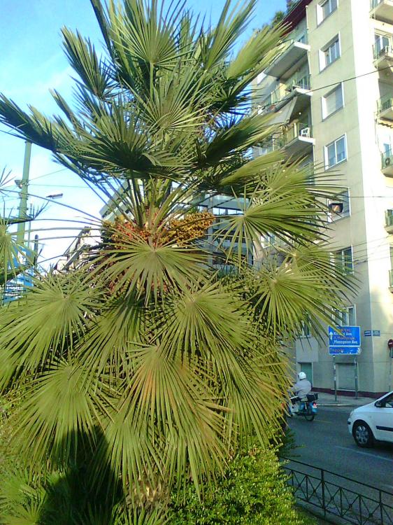 Photo0343.thumb.jpg.c513bf669530c46ac1b3