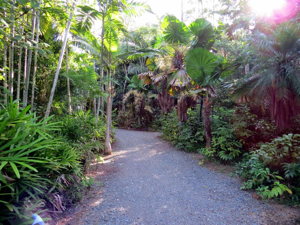 05path.thumb.JPG.8b86d307d116552fa2e7bec
