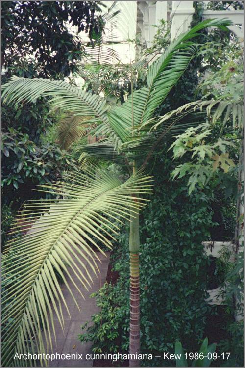 572b94e07da6a_0286N09-0121.thumb.jpg.256