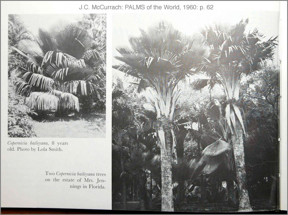 57436b6c3dd32_McCurrach1960-062P1010585.