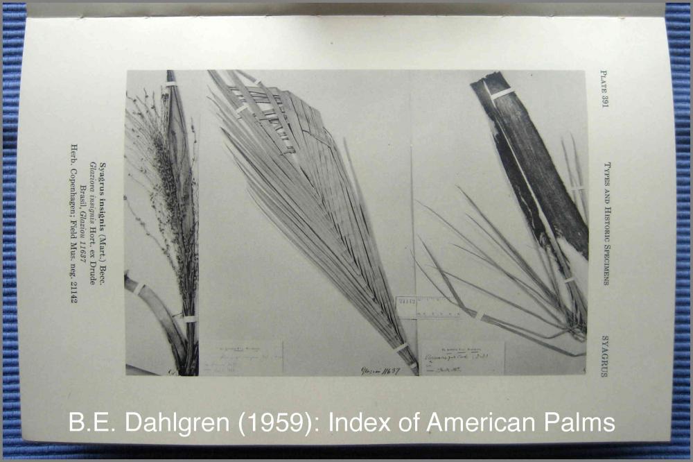 574460a1f0532_Dahlgren1959-391IMG_8668.t
