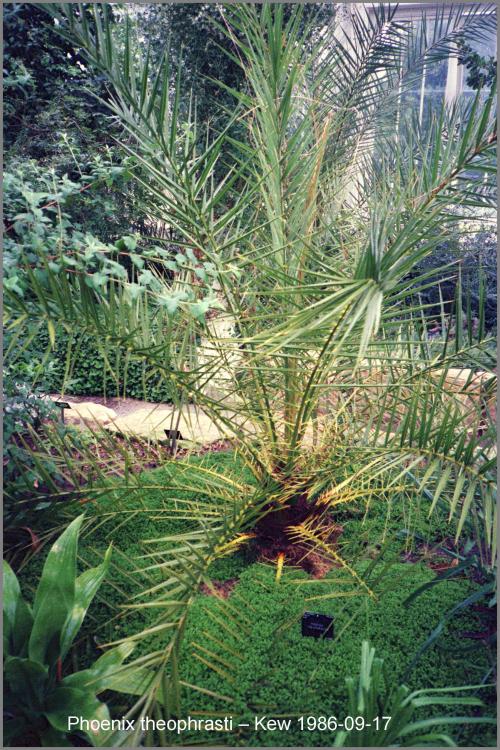 86N09-0128.thumb.jpg.cfde2eb79a74a171999