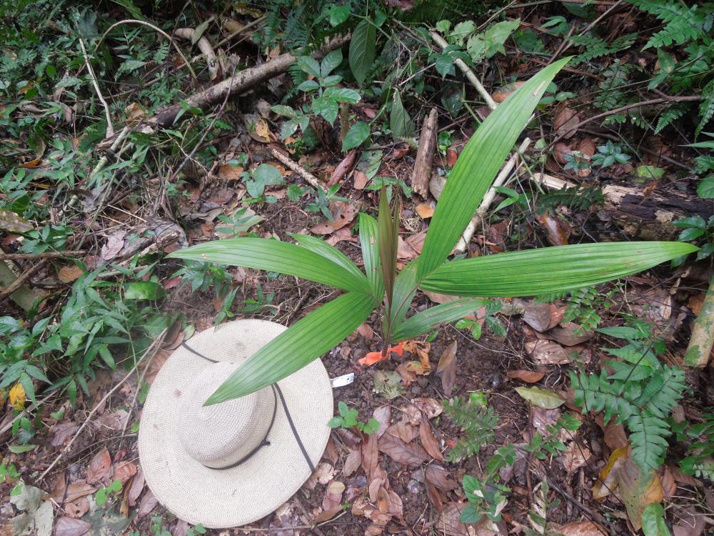 DSCN0314.thumb.JPG.97c7d72e54ffe176a688f