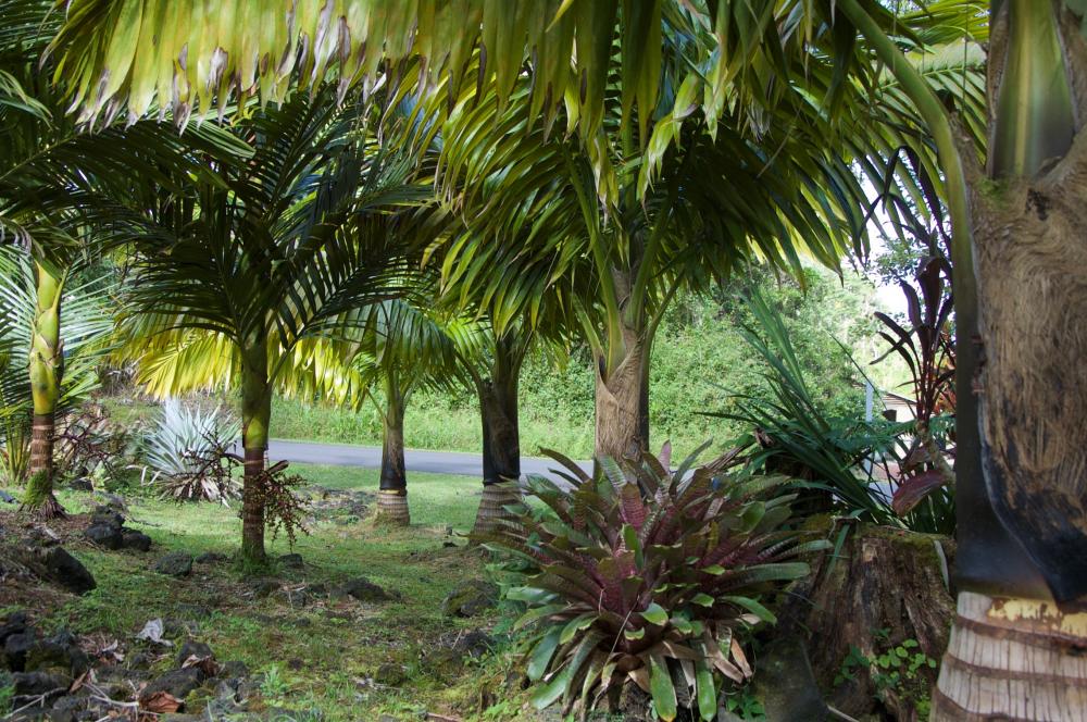 DSC_0170.thumb.jpg.17aaddbfaf974c05adc62