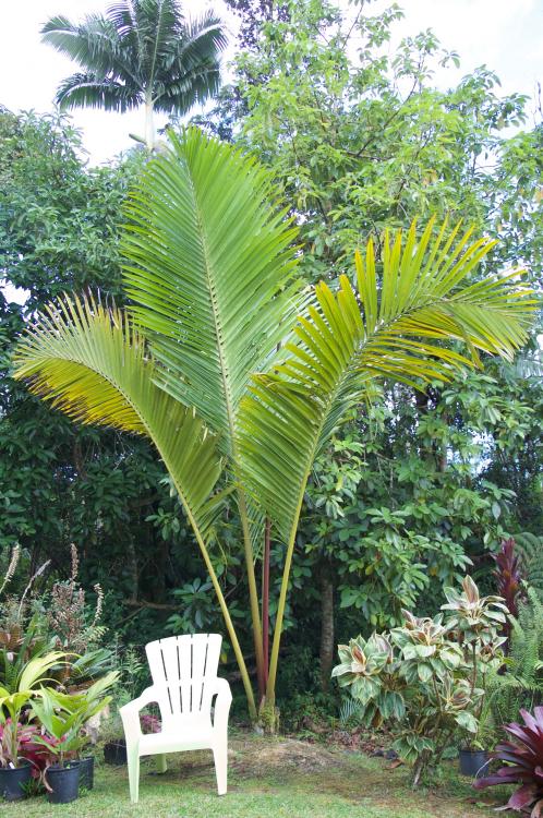 DSC_0208.thumb.jpg.a65cec6da3e7b5a56b3ec