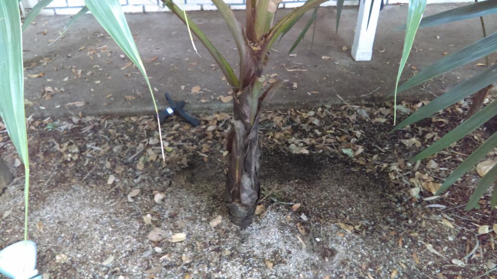 IMAG0790.jpg