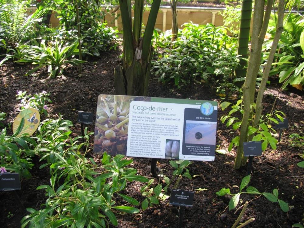 IMG_1980.thumb.JPG.d9f9fd06dbf2677e0620e