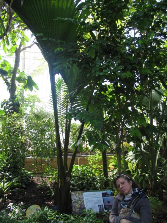 IMG_1981.thumb.JPG.67af1869a68c4de0f121a