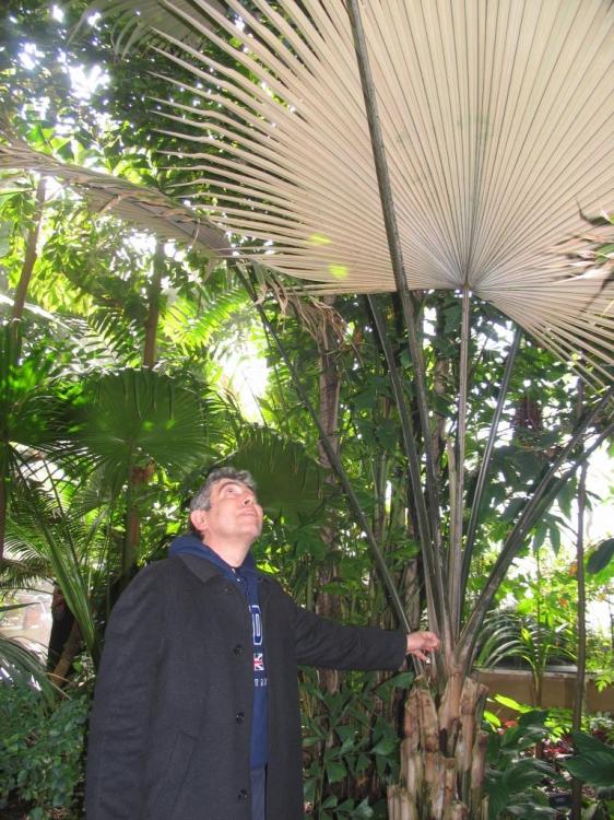 IMG_1997.thumb.JPG.09cc654ce76819e55c0e9