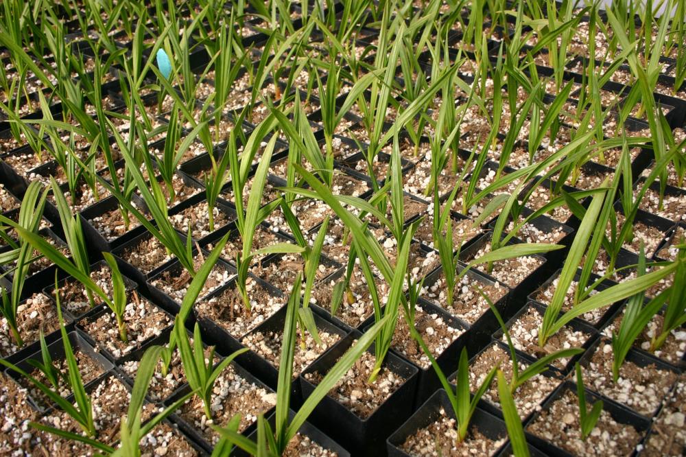 IMG_5224.thumb.JPG.714e124b569bb65114159