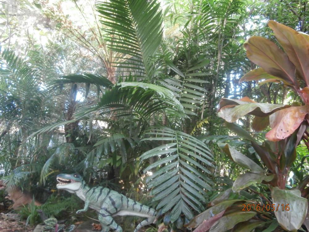 P5160045.thumb.JPG.c1dc14edd6c321a9a3865