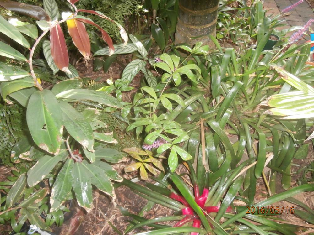 P5160068.thumb.JPG.f0f40d40e158c16792ce7