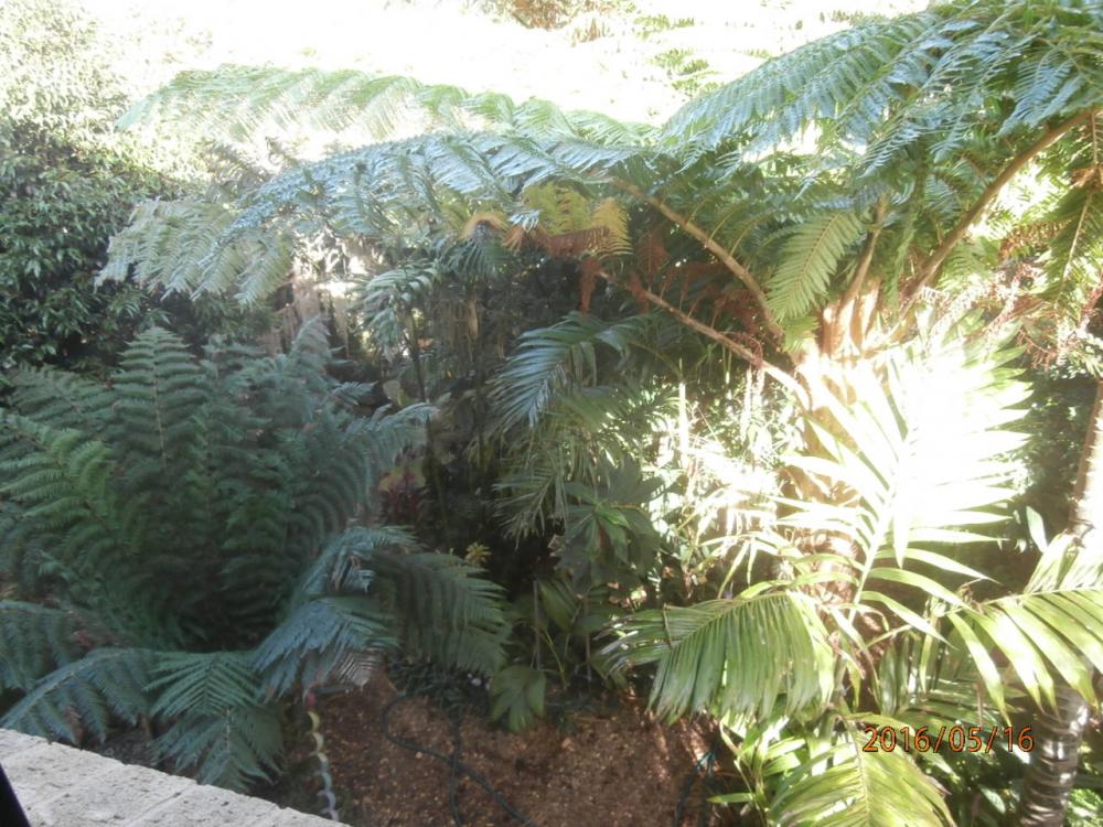 P5160079.thumb.JPG.31dab0e83783acc213288