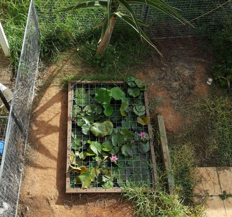 received_10154131592597342.thumb.jpeg.ff