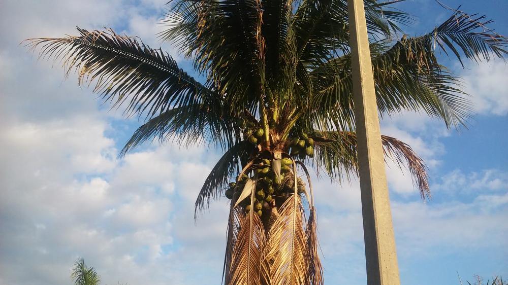 20160609_073914.jpg