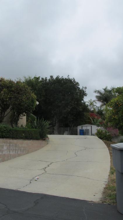 566.thumb.JPG.8cb542ed3ab5ee229bf07e6b91