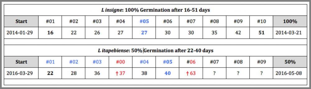 576922a98ec30_GerminationLinsignevsitape