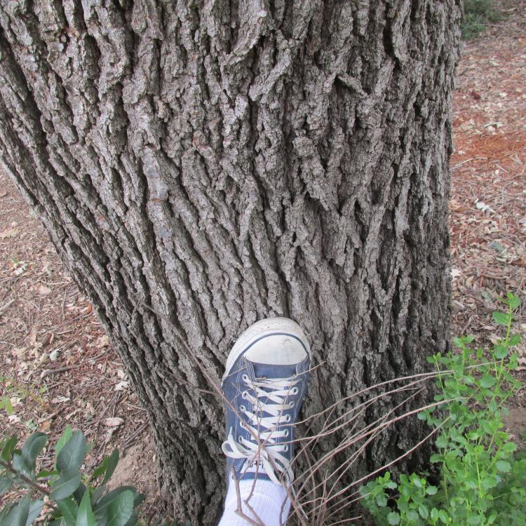 583.thumb.JPG.c0202fd20202e36d3084c08b7a