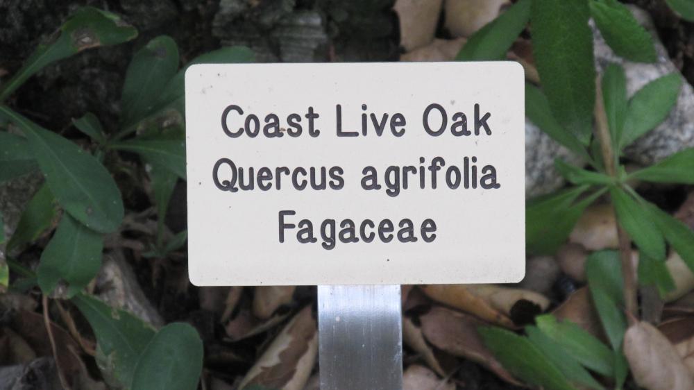 604.thumb.JPG.6e577077dc27814f25c4c3a88b