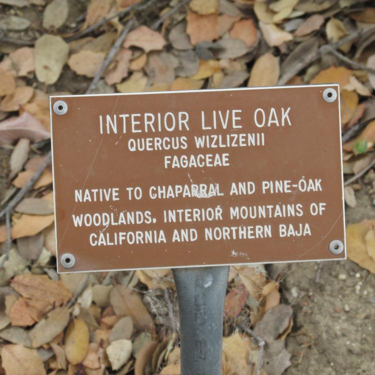 610.thumb.JPG.34a8fa953e251723536022ae8c