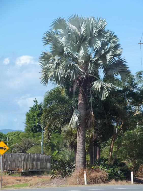 DSCF7640.thumb.JPG.d32cfa11f48c595815374