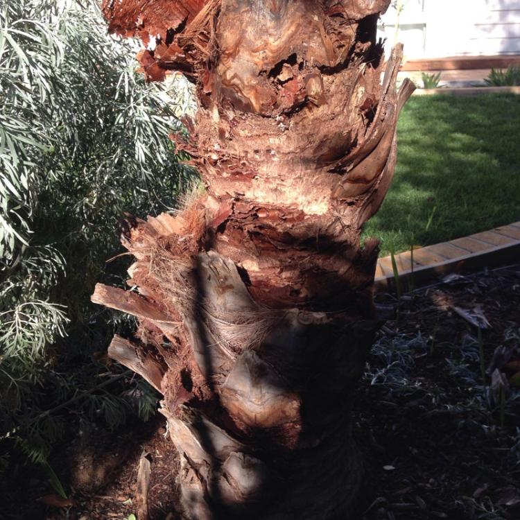 IMG_0435.thumb.jpg.6af6275cf696302c9c4f2