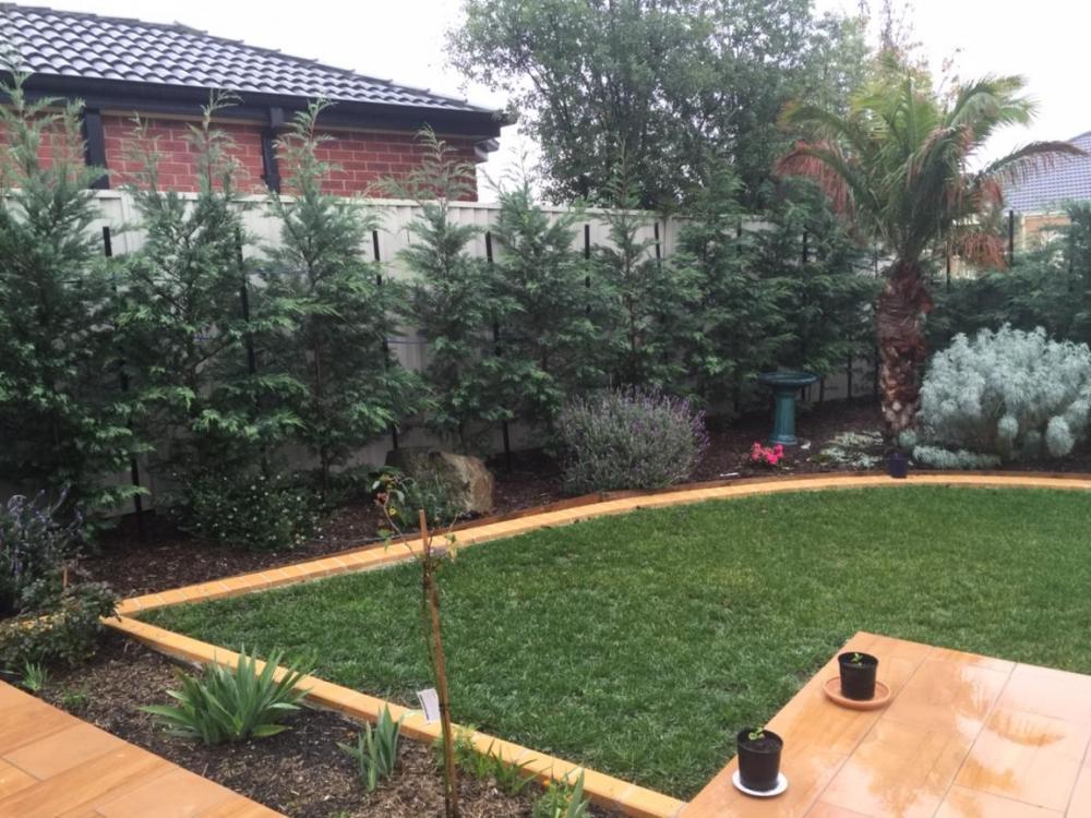 IMG_2898.JPG.thumb.jpeg.3290c6d86e545a26