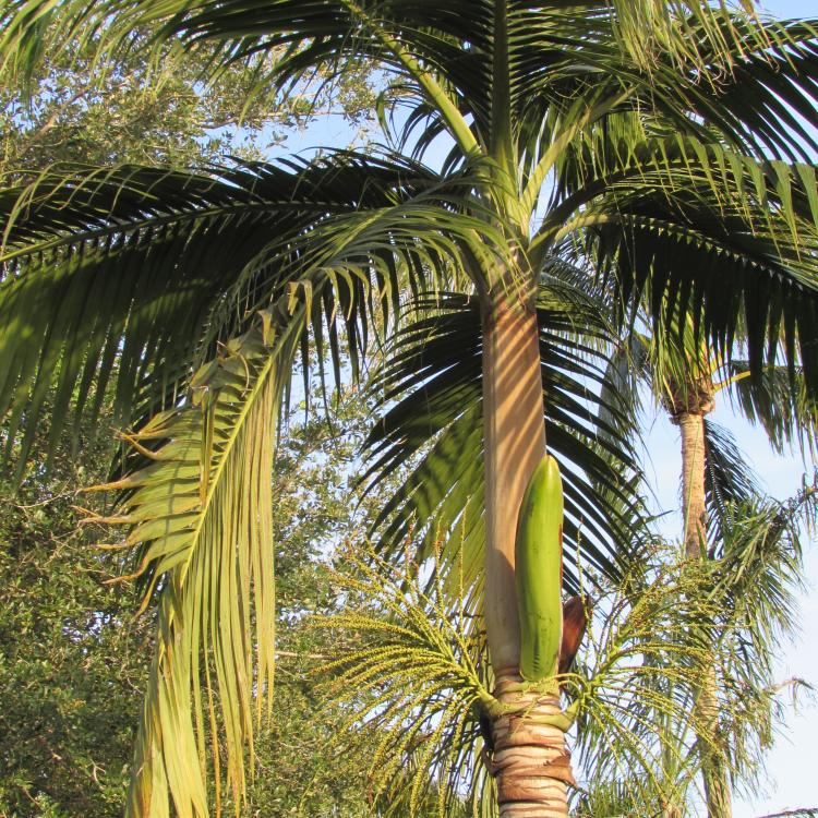 IMG_7119.thumb.JPG.58e1672daf7932060b13a