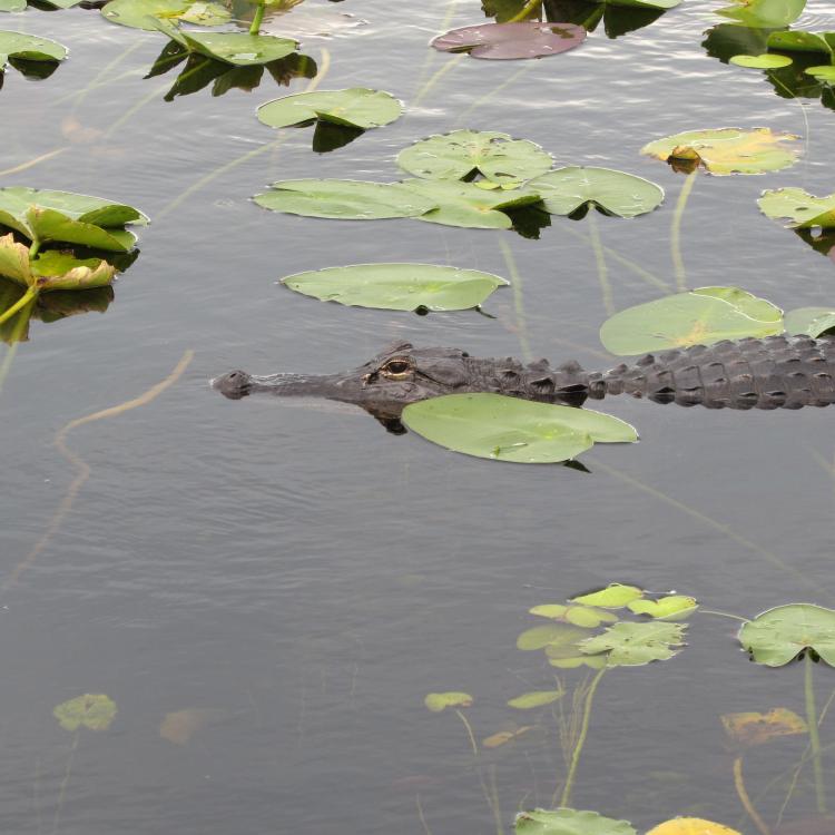 IMG_7163.thumb.JPG.f5753241f85033437bc5c