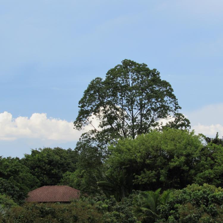 IMG_7172.thumb.JPG.f09e45158af16cd0b49fc