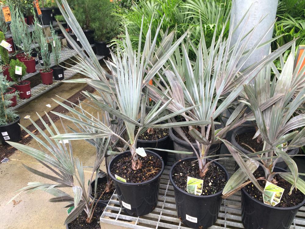 biz.thumb.JPG.7ae4782f4bb6fd57dbbda0806c