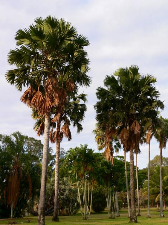 green-biz-anderson-park.thumb.jpg.423eba