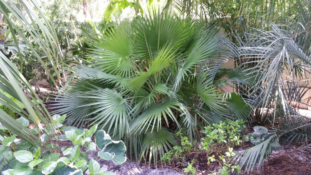 2016-07-10 11.27.17.jpg
