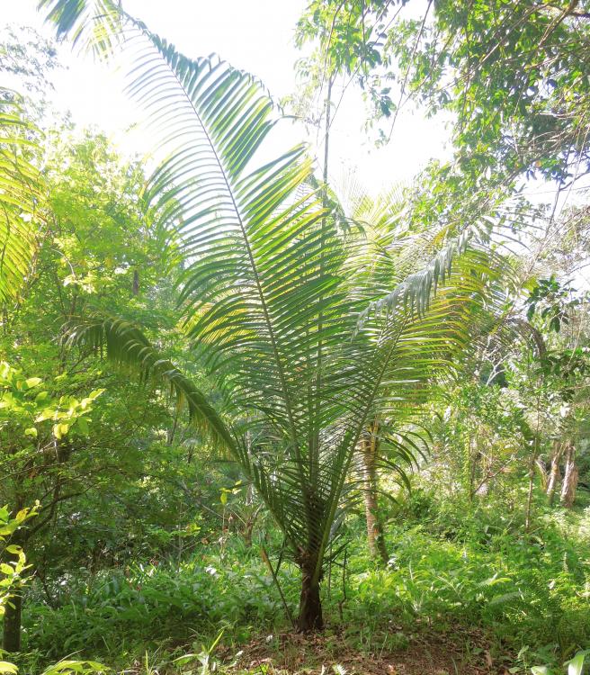 DSCN3623.thumb.jpg.10c0652d10cc811f1277a