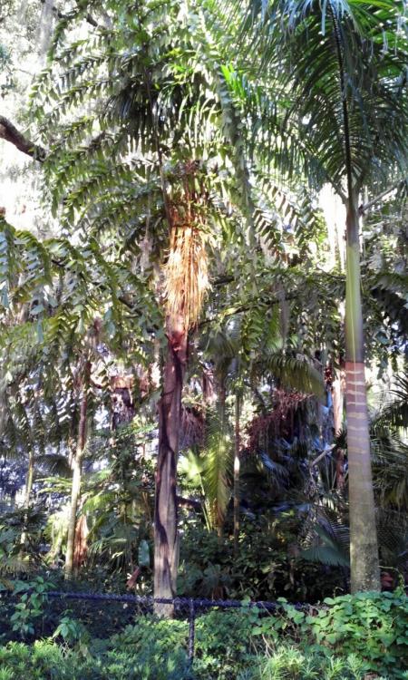 IMG_20160728_091511.jpg