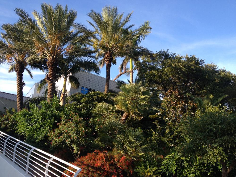 IMG_2732.thumb.JPG.b87cc60cf8c2067bb2a70