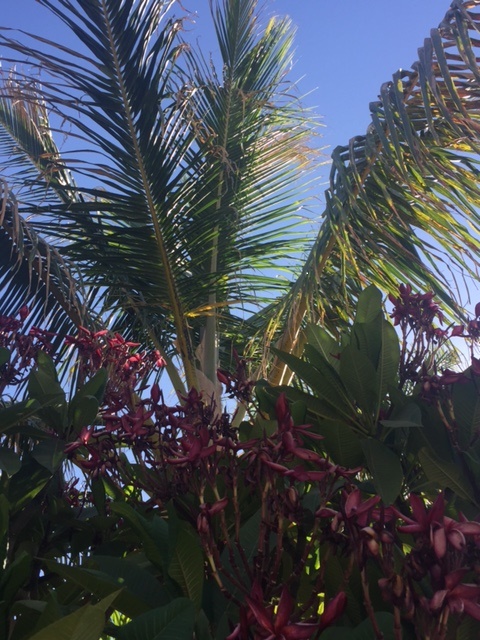 IMG_6210.JPG.ab3c708928e185430cf7a4ab177