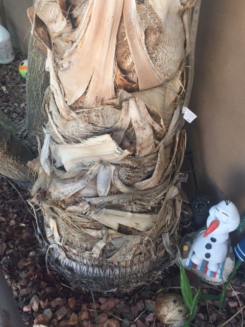 IMG_6213.JPG.2129aa7f1dc814006e1db4bcd5e