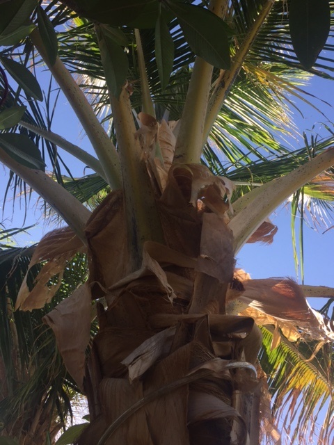 IMG_6214.JPG.e49a29f286c1c849e16a0b1088f