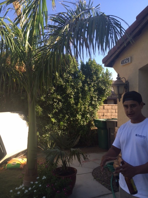 IMG_6231.JPG.c884f1a39c86f25c7fa86923602