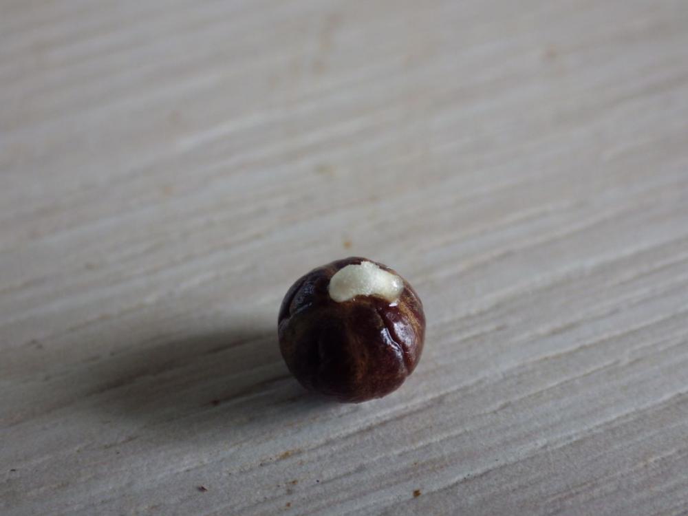 013x.thumb.jpg.52242e3d570264e5aa31c8793
