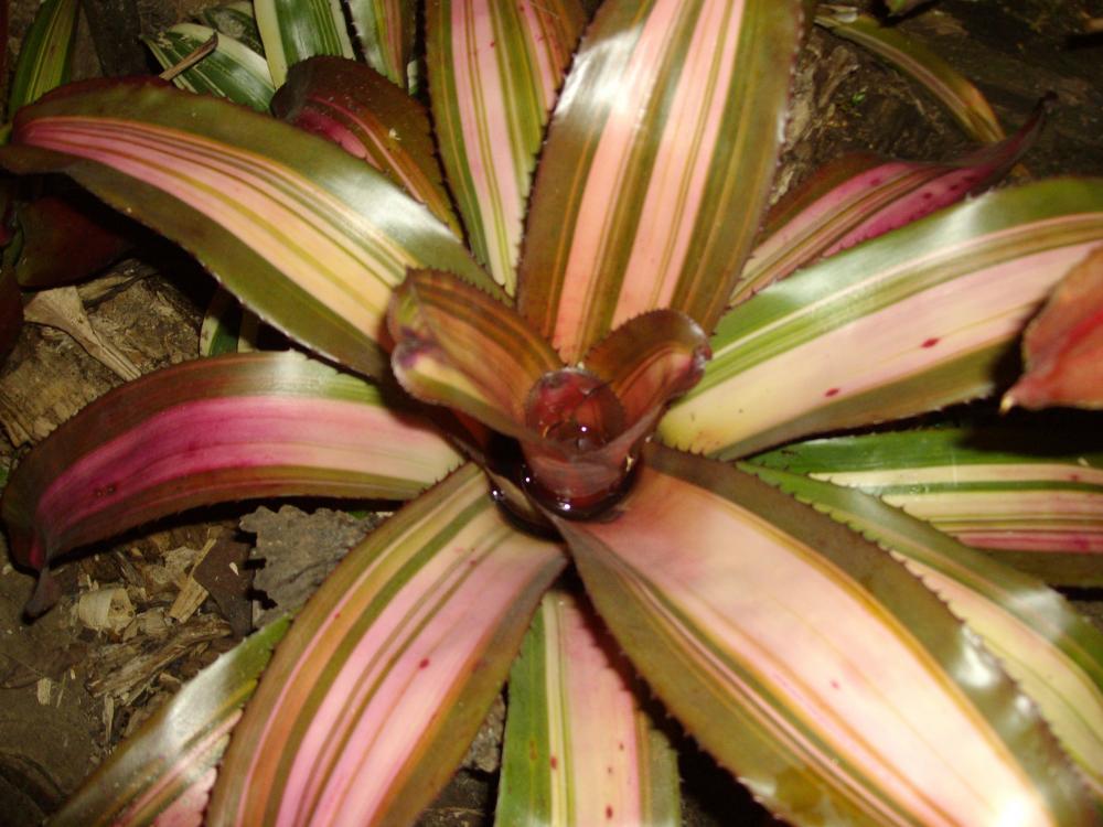 024.thumb.JPG.774863d5d62f85439dfcb78d99