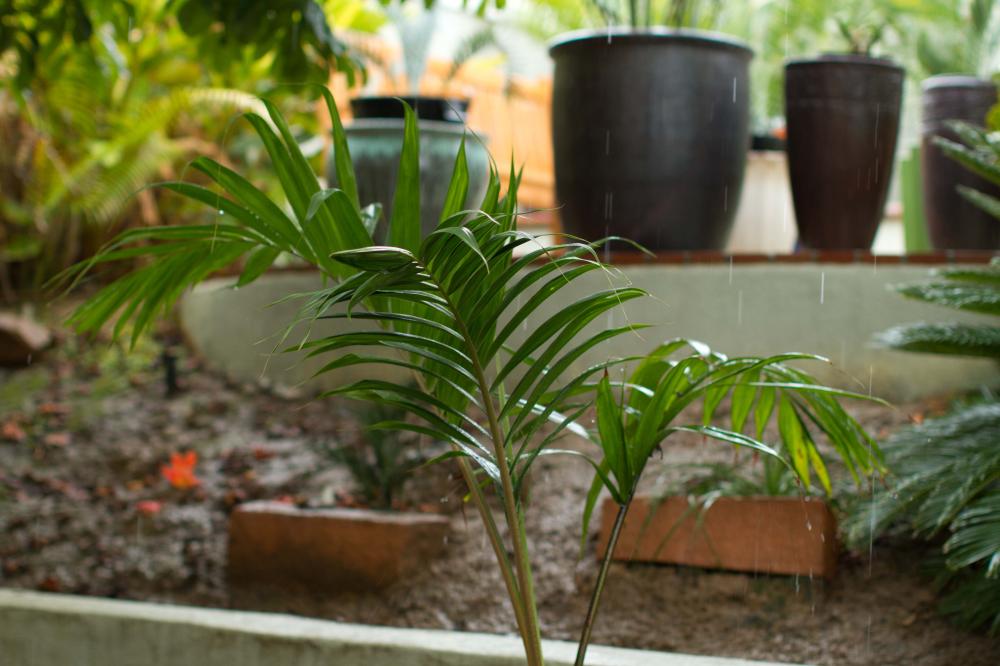 20111112-IMG_9039.thumb.jpg.55924b869e5e