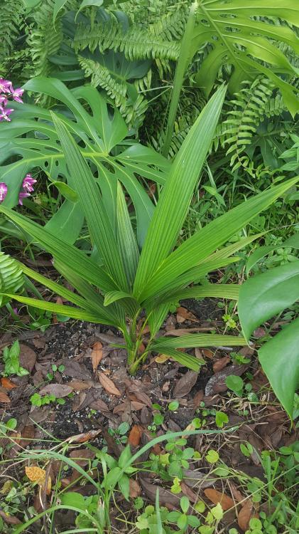 20160830_093845.jpg